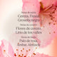 V4H206A9050C818A88AFFF833B27CE6839CR7407083P4