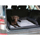 V5H30ED2EADB873F6C289B769315C46B8D4R5764061P2